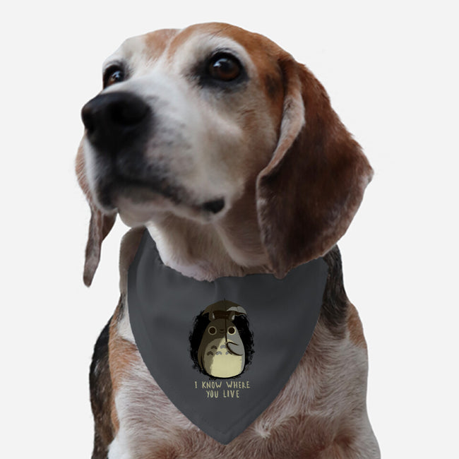 Your Neighbor-dog adjustable pet collar-BlancaVidal