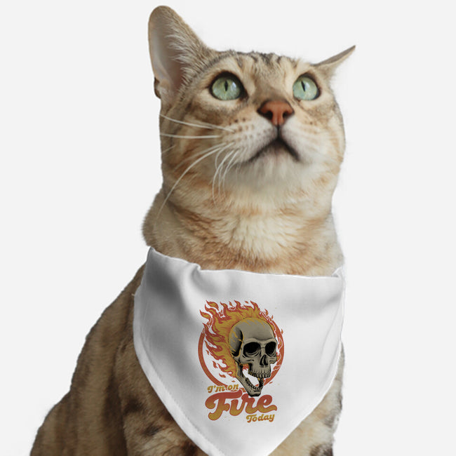 On Fire Today-Cat-Adjustable-Pet Collar-Studio Mootant