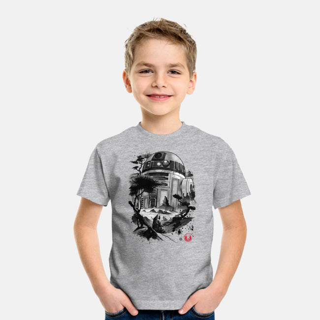 Astromech Droid-Youth-Basic-Tee-DrMonekers