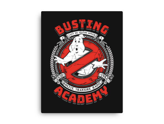 Busting Academy