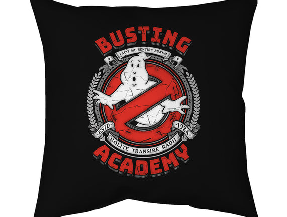 Busting Academy