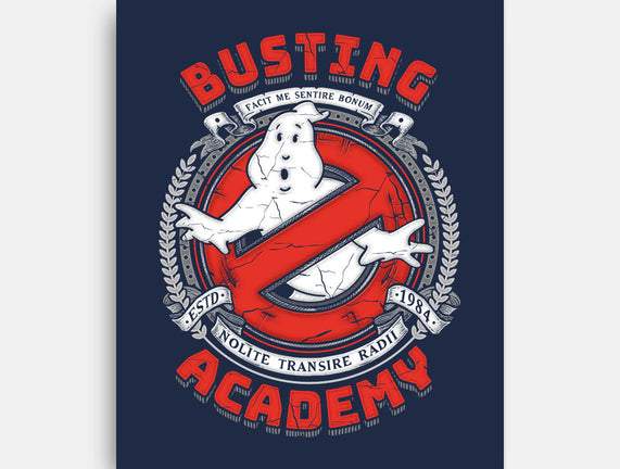 Busting Academy