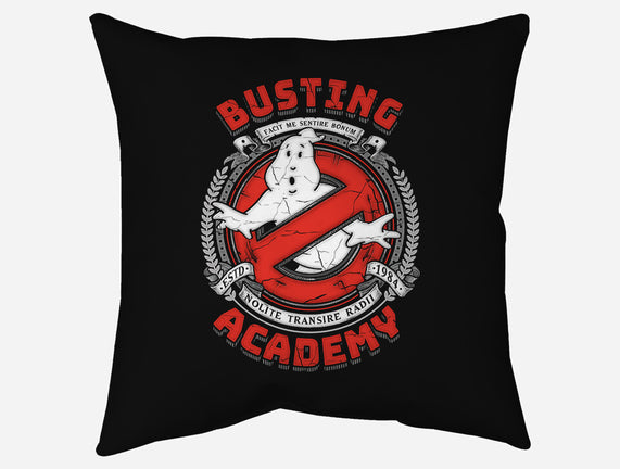 Busting Academy