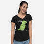 Darn!-Womens-V-Neck-Tee-pigboom