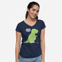 Darn!-Womens-V-Neck-Tee-pigboom
