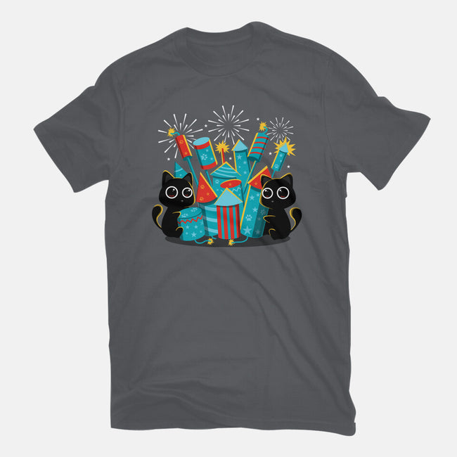 Firework Day-Mens-Basic-Tee-erion_designs