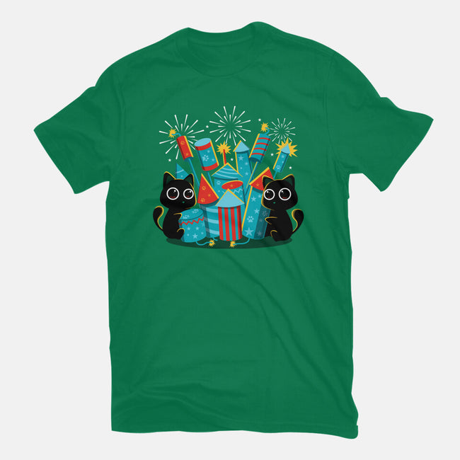 Firework Day-Womens-Fitted-Tee-erion_designs