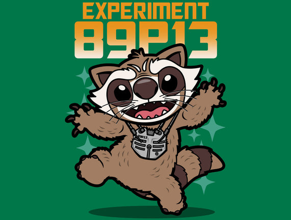 Experiment 89P13