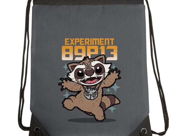 Experiment 89P13