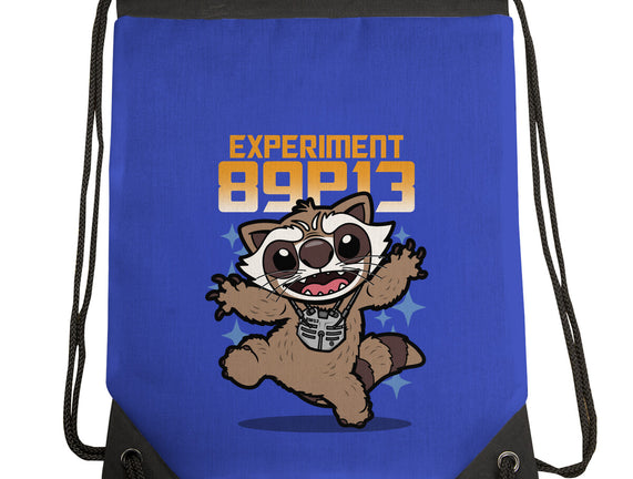 Experiment 89P13