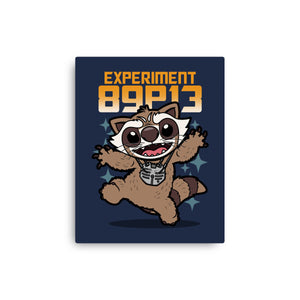 Experiment 89P13