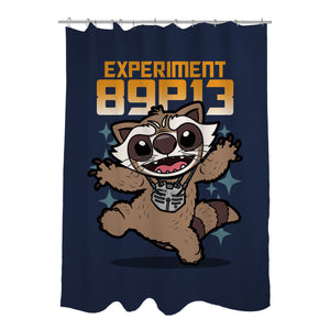Experiment 89P13