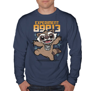 Experiment 89P13