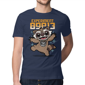 Experiment 89P13