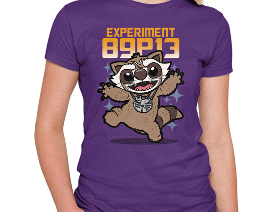 Experiment 89P13