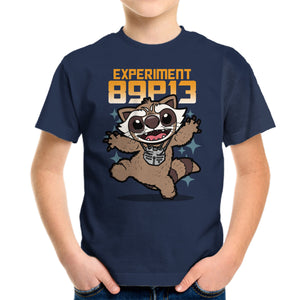 Experiment 89P13