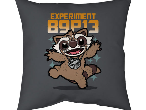 Experiment 89P13