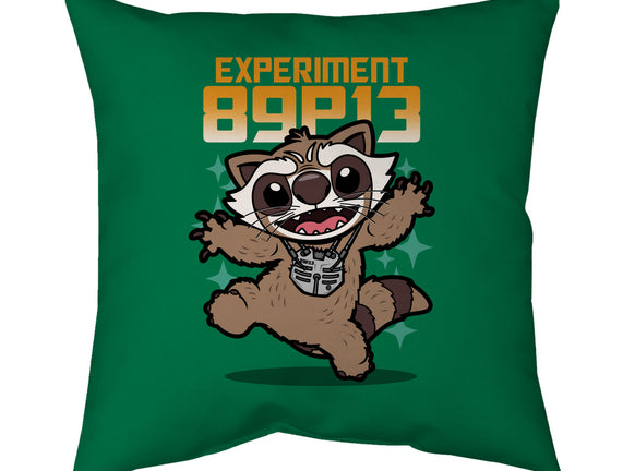 Experiment 89P13