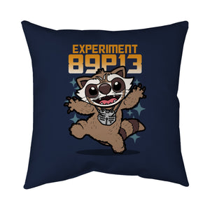 Experiment 89P13