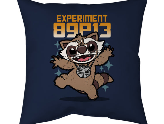 Experiment 89P13