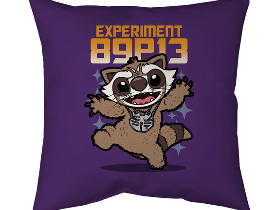 Experiment 89P13