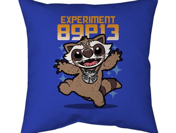 Experiment 89P13