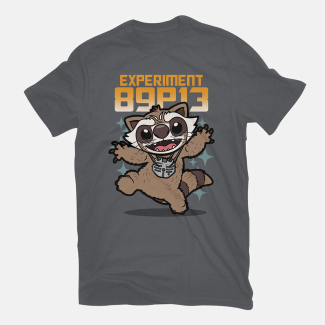 Experiment 89P13-Mens-Heavyweight-Tee-Boggs Nicolas