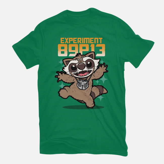 Experiment 89P13-Mens-Heavyweight-Tee-Boggs Nicolas