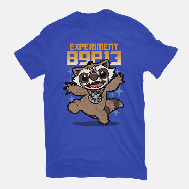 Experiment 89P13-Mens-Heavyweight-Tee-Boggs Nicolas
