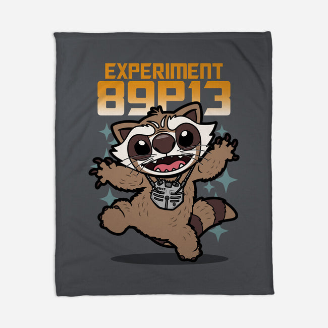 Experiment 89P13-None-Fleece-Blanket-Boggs Nicolas