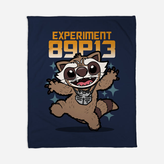 Experiment 89P13-None-Fleece-Blanket-Boggs Nicolas