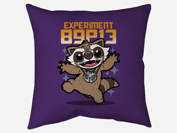 Experiment 89P13
