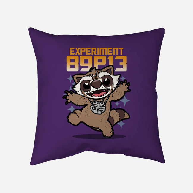 Experiment 89P13-None-Removable Cover w Insert-Throw Pillow-Boggs Nicolas