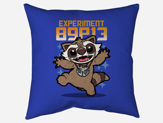 Experiment 89P13