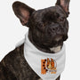 Bingo 182-Dog-Bandana-Pet Collar-dalethesk8er