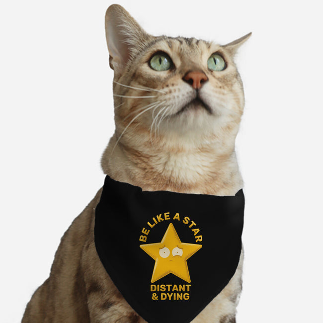 Be Like A Star-Cat-Adjustable-Pet Collar-danielmorris1993