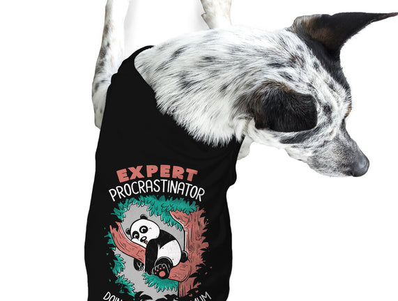 Expert Procrastinator Panda