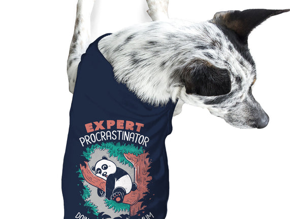 Expert Procrastinator Panda