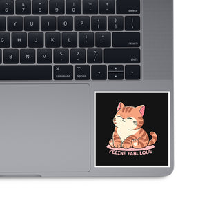 Feline Fabulous