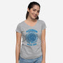 Waterbending University-womens v-neck tee-Typhoonic