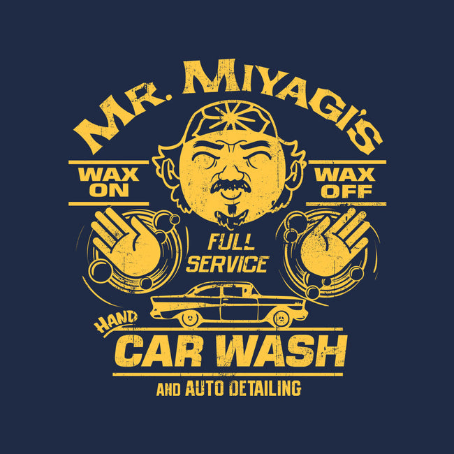 Wax On Wax Off Car Wash-none removable cover w insert throw pillow-DeepFriedArt