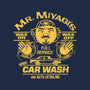 Wax On Wax Off Car Wash-none removable cover w insert throw pillow-DeepFriedArt