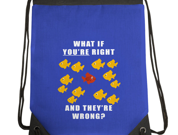 What if You're Right and They're Wrong