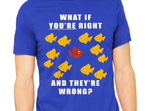 What if You're Right and They're Wrong
