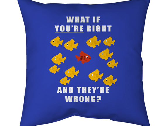 What if You're Right and They're Wrong