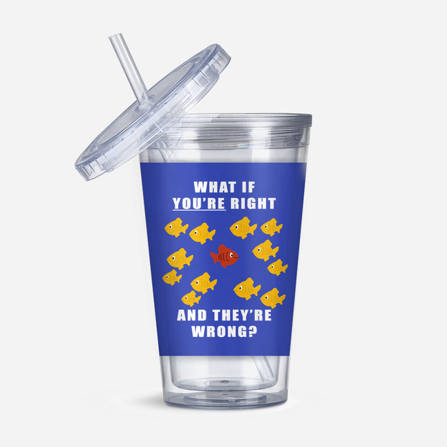 What if You're Right and They're Wrong-none acrylic tumbler drinkware-belial90