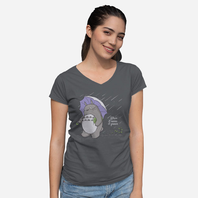 When It Rains-womens v-neck tee-LiRoVi