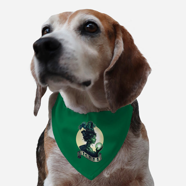 Wicked-dog adjustable pet collar-TimShumate