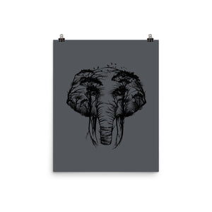 Wild Safari