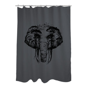 Wild Safari